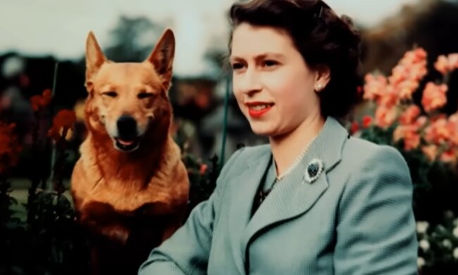 Corgi-Parade zieht zu Ehren der weggegangenen Königin zum Buckingham-Palast