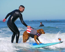 Ein freundlicher Hund surft mit Menschen und hilft dabei, sie zu heilen