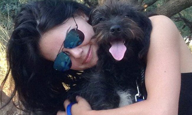 Zwei Männer wollten die junge Frau beleidigen, aber ein streunender Hund rettete sie