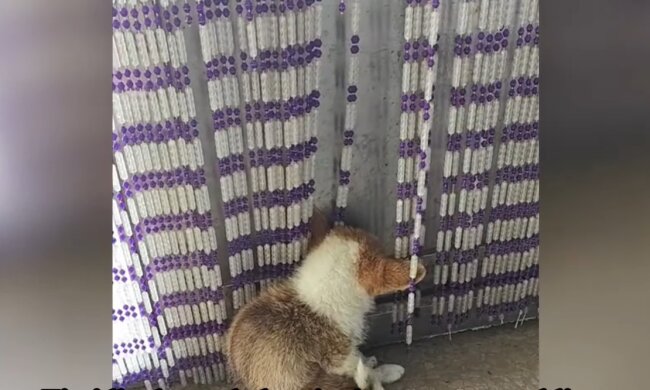 Ein Hoffnungsschimmer im Sturm. Quelle: Youtube Screenshot