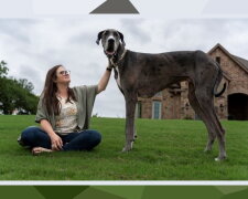 Der größte Hund der Welt. Quelle: travelask.com