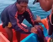 Drei Tage auf hoher See: Retter fanden einen Seemann, der nicht mehr hoffte, gerettet zu werden