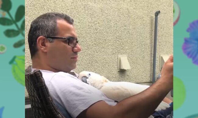 Nima und Popeye. Quelle: Youtube Screenshot