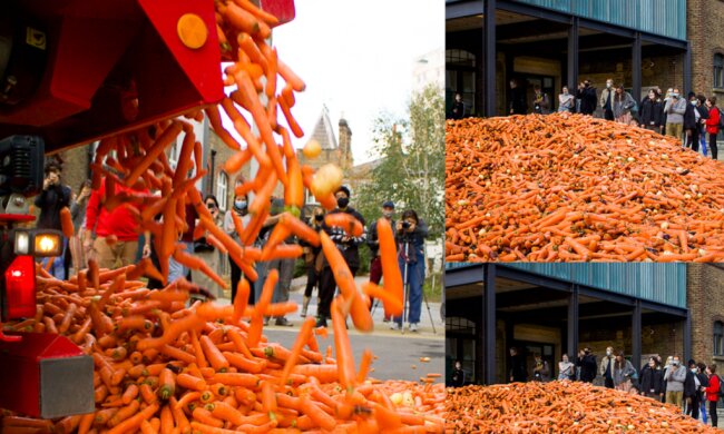 Der Kunst halber: Ein Student brachte 31 Tonnen Karotten in den Hof des Kollegs her
