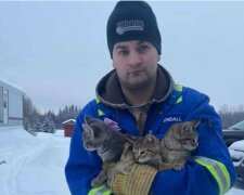 Wie ein kanadischer Arbeiter Kätzchen mit dem Kaffee aus dem Schnee rettete