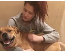 Aisha Nieves mit Kovu. Quelle: Video Screenshot