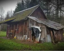 Die alte Frau lebte allein im Wald in einer zusammengebrochenen Hütte, aber die Leute machten ein luxuriöses Häuschen für sie