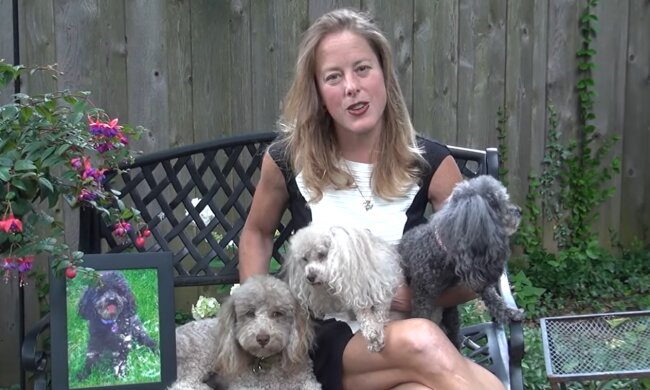 Eine Hundeliebhaberin erzählte von einem unglücklichen Fehler. Quelle: Screenshot YouTube