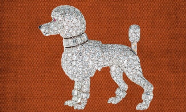 Hundetreue: Grace Kelly hat sich von ihrem geliebten Pudel nie getrennt, er war da, auch wenn er weg war
