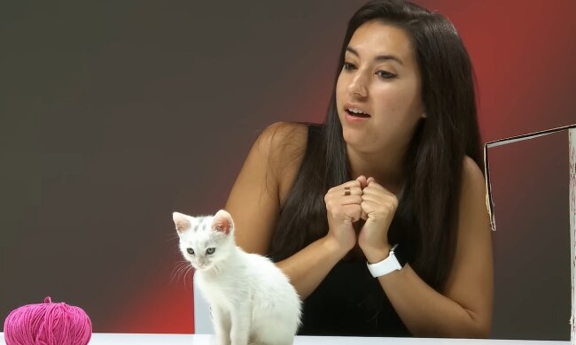 Ein unerwartetes Geschenk. Quelle: Youtube Screenshot