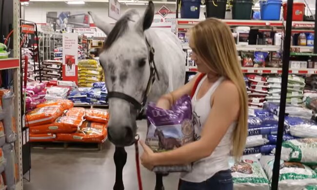 Eine echte Sensation im Supermarkt. Quelle: Screenshot YouTube