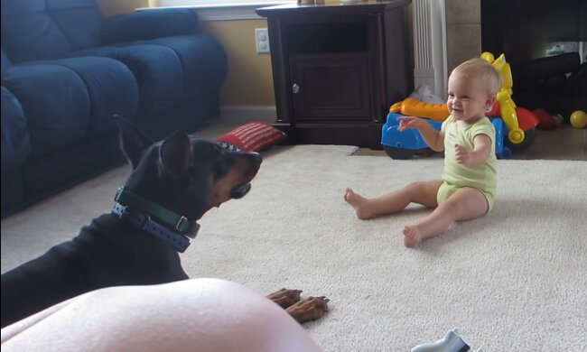 Tommy und Macey. Quelle: YouTube Screenshot