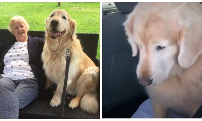 Cheddar. Quelle: Screenshot