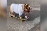 Skateboardfahren. Quelle: Youtube Screenshot