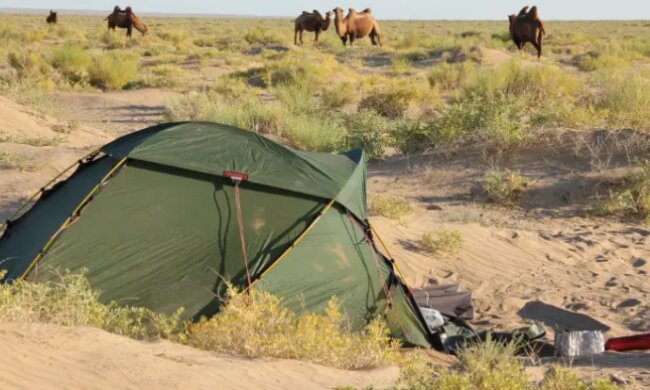 "Lauf Sarah, lauf": die Frau aus der Schweiz lief 16.000 km und überquerte zwei Kontinente