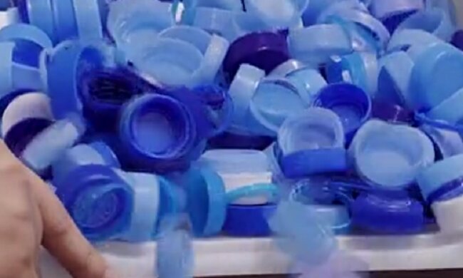 Auf die Natur achten: Wie junge Frauen die Stadt von der Verschmutzung reinigen