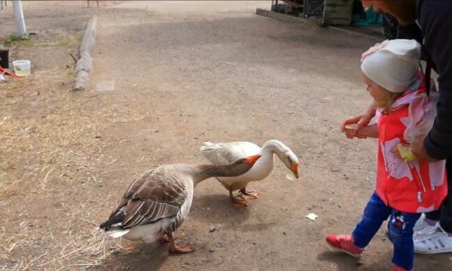 Die besten Babysitter. Quelle: Youtube Screenshot