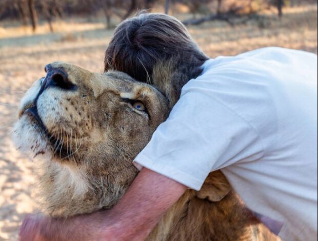 Eine Geschichte über Freundschaft zwischen einem Löwen Zion und einem Mann namens Fricky