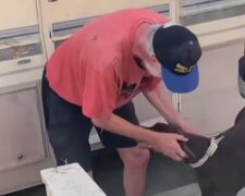 Mann konnte die Tränen nicht zurückhalten, als er seinen Hund sah. Quelle: Screenshot Youtube
