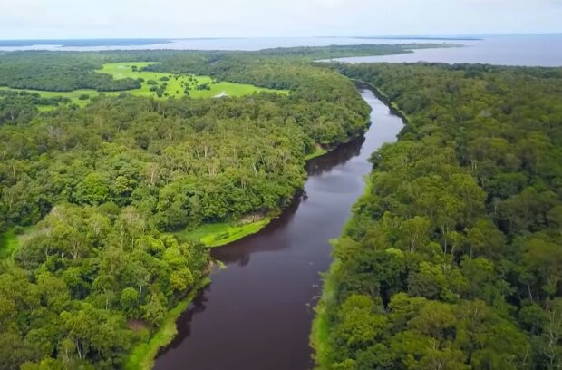 Amazonas. Quelle: Screenshot Youtube