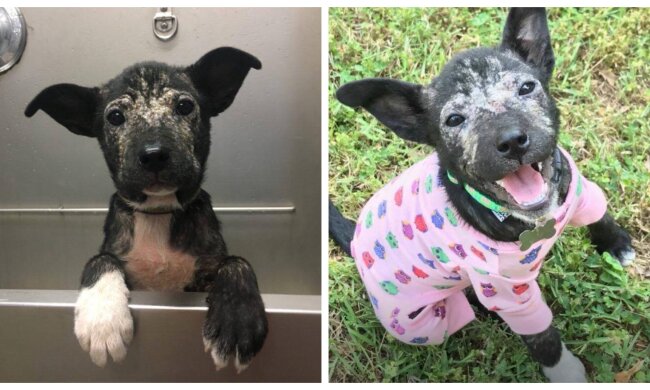 Panama. Quelle: Screenshot