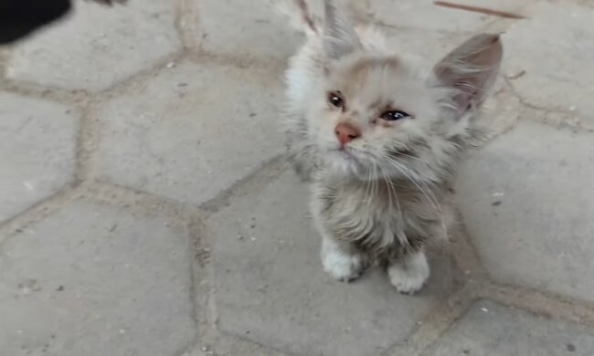 Verloren im Regen. Quelle: Youtube Screenshot