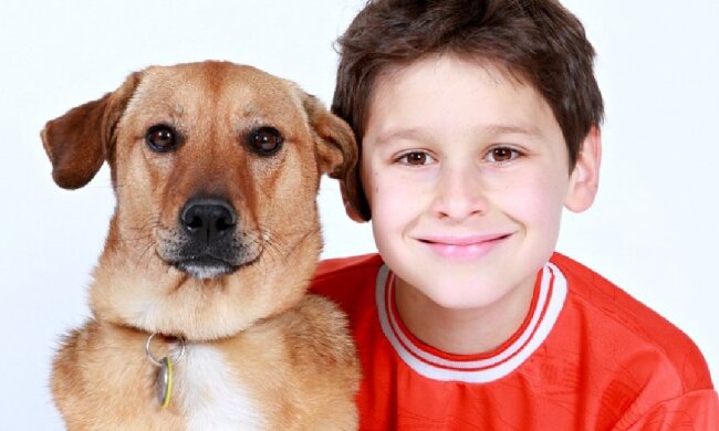Ein echter Freund: Ein Hund stand in der Ecke, um ein schuldbewusstes Kleinkind zu unterstützen