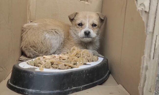 Illustratives Bild. Quelle: Youtube Screenshot