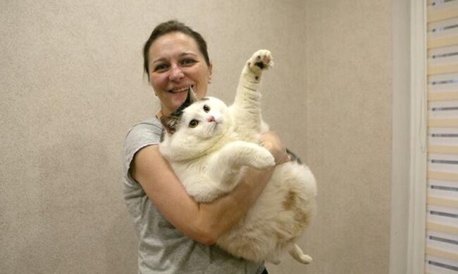"Flauschige Riesin": Eine Katze wiegt wie ein 200 Kilogramm schwerer Mann