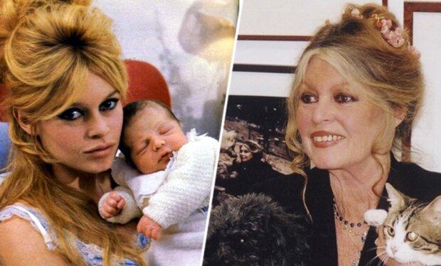 "Lieber würde ich einen Welpen zur Welt bringen": Wie das Leben des einzigen Sohns von Brigitte Bardot verlief