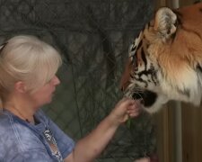 Die furchtlose Frau und der Tiger. Quelle: Youtube Screenshot