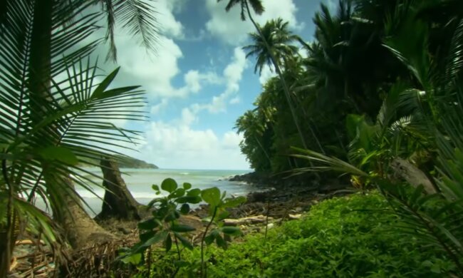 Insel. Quelle: Screenshot YouTube