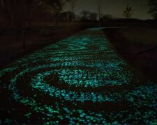 Auf den Spuren von Van Gogh: der Sternenradweg in den Niederlanden zieht  die Aufmerksamkeit von Touristen aus aller Welt auf sich