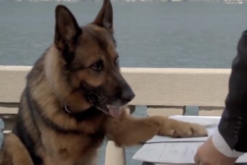 Gunter III. Quelle: Screenshot YouTube