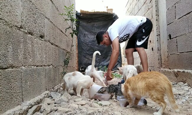 Antonio kümmert sich liebevoll um streunende Katzen. Quelle: Youtube Screenshot