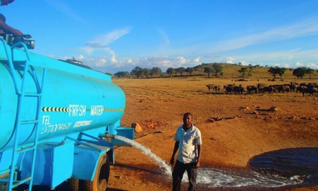 Sie werden ohne ihn nicht überleben: Ein Mann trägt Wasser zu wilden Tieren, die jeden Tag vor Durst leiden
