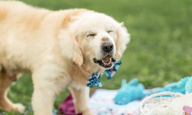 Aufrichtige Freude. Quelle: Screenshot YouTube