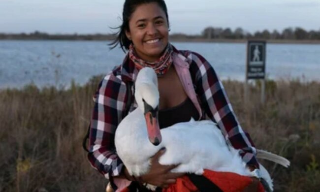 Die junge Frau mit einem guten Herzen hat einen schweren Weg zurückgelegt, um einen Schwan zu retten