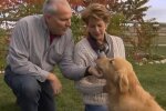 Wiedervereinigung der Familie