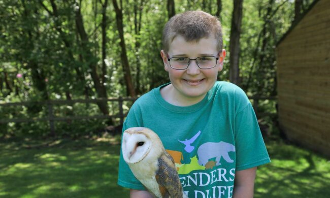 Animaltherapie: Eulen haben einem kleinen Jungen geholfen