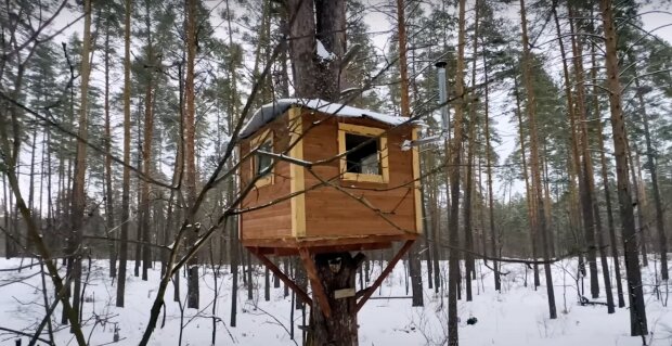 Baumhaus. Quelle: Screenshot YouTube