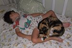 Kind im Katzenbett: Netz empört sich über verantwortungslose Eltern