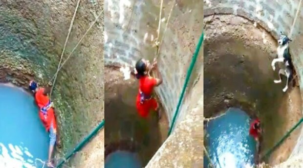 Sie konnte nicht vorbeigehen: Eine Frau riskierte ihr Leben, um einen Hund zu retten, der in einem tiefen Brunnen steckte