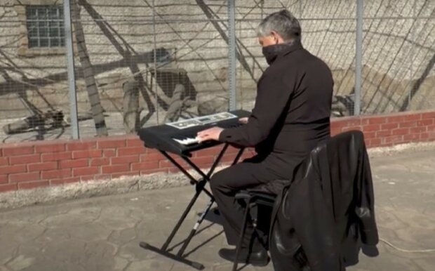 Ein Video zeigt, wie der Direktor des Zoos von Odessa in Quarantäne einen Synthesizer für seine Schützlinge spielte: Für jedes Tier wählte er eine separate Komposition und die Kamera erledigte ihre Arbeit