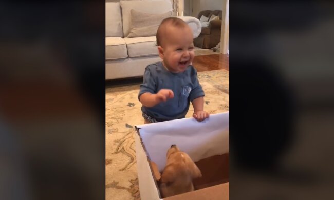 Das beste Geschenk der Welt. Quelle: Youtube Screenshot