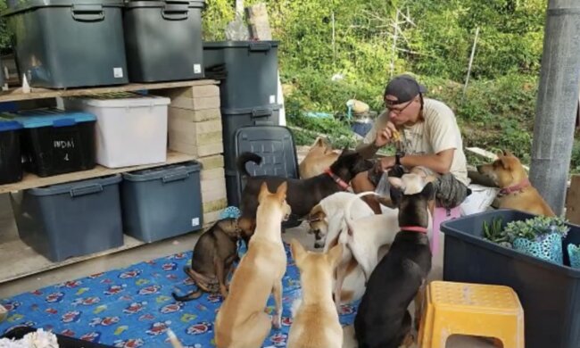 Jetzt hat das litauische Paar 15 Hunde. Quelle: Screenshot YouTube