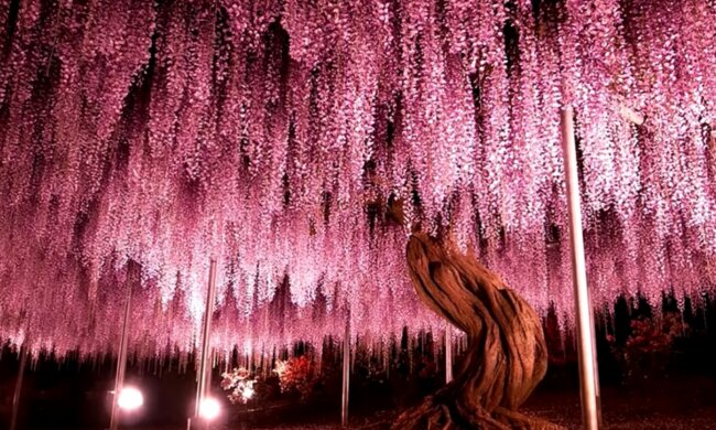 Bezaubernde Natur in der Nähe. Quelle: Screenshot YouTube