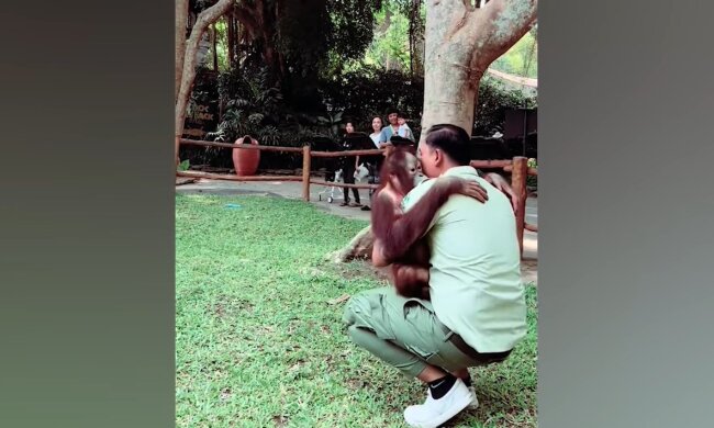 Die ungewöhnliche Freundschaft zwischen Mensch und Affe. Quelle: Youtube Screenshot