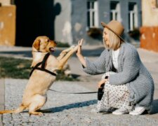 Lang erwartetes Treffen: die junge Frau fand ihren Hund, der vor zehn Jahren verschwunden war