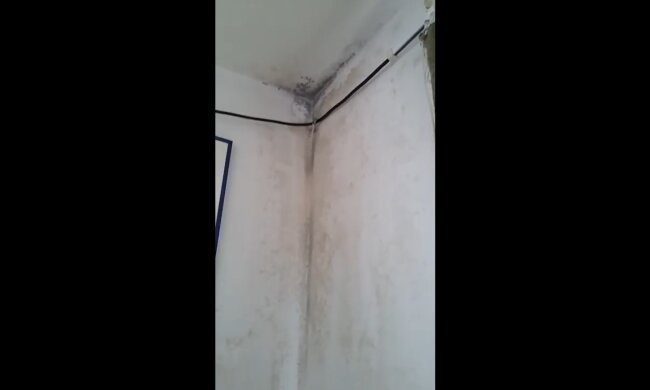 Schimmel in der Wohnung. Quelle: Youtube Screenshot
